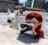 bolt